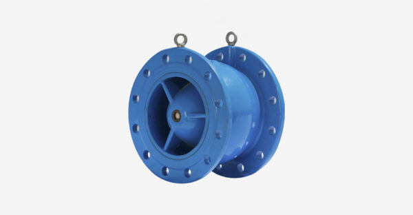 nozzle check valves