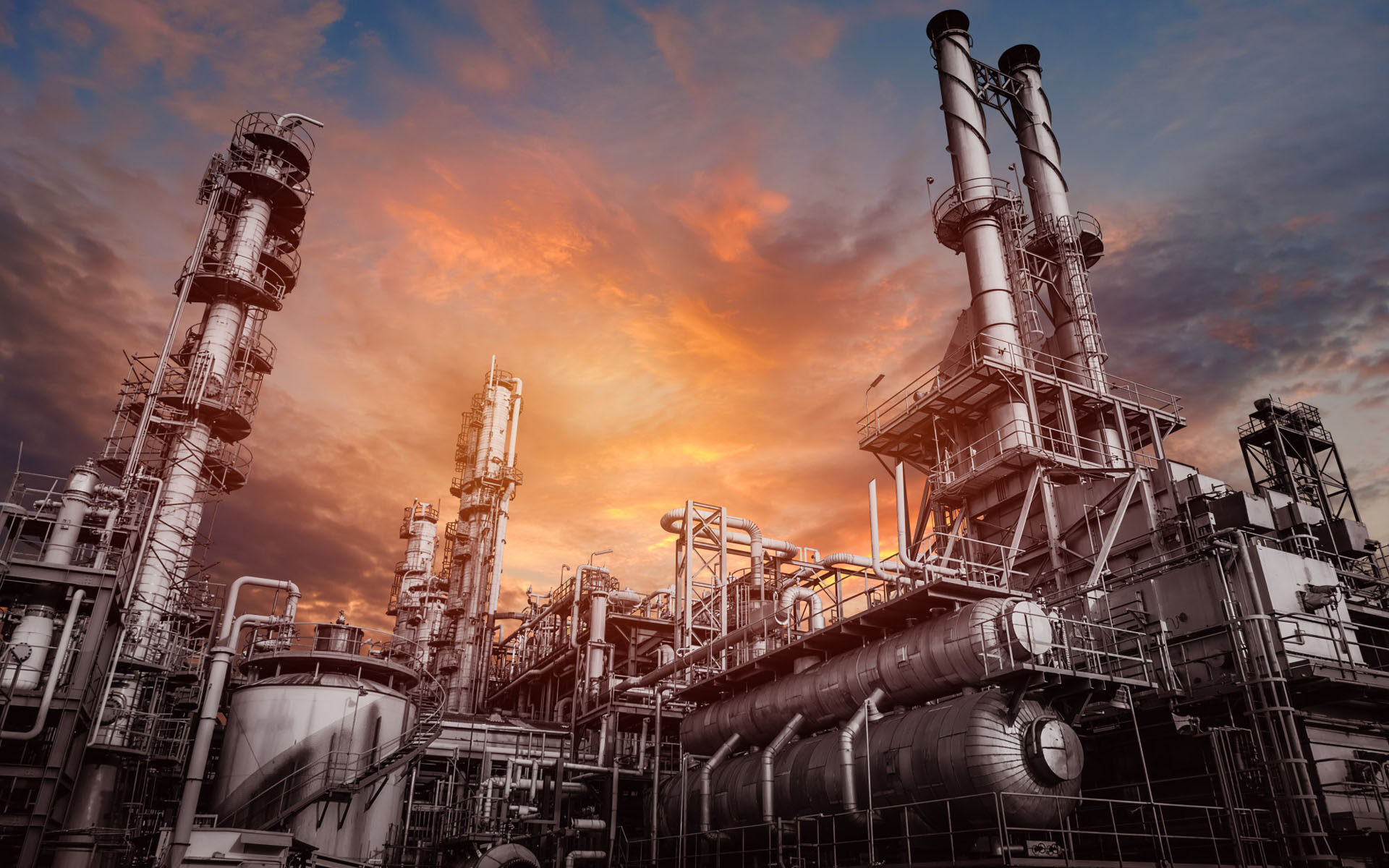 Your Path to Industry Success