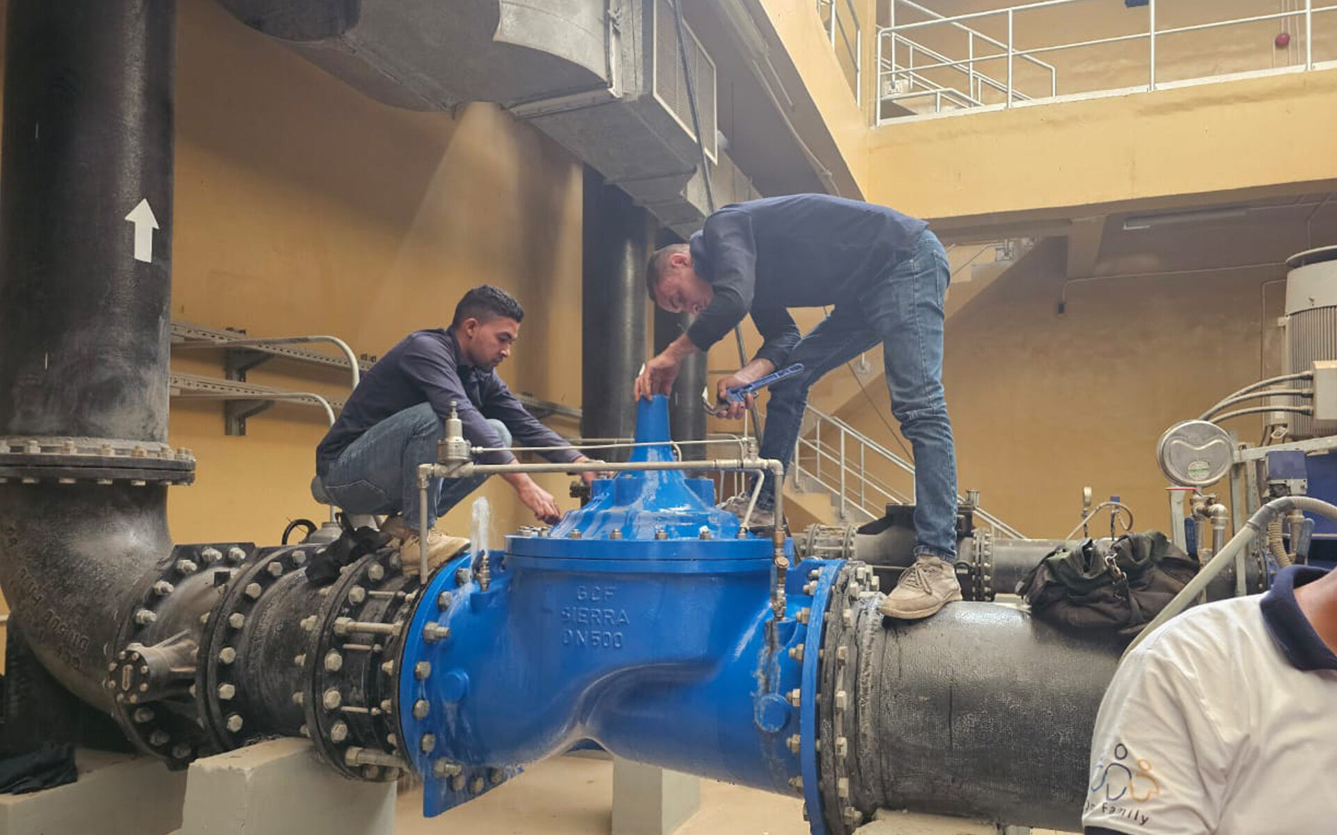 Your Path to Industry Success